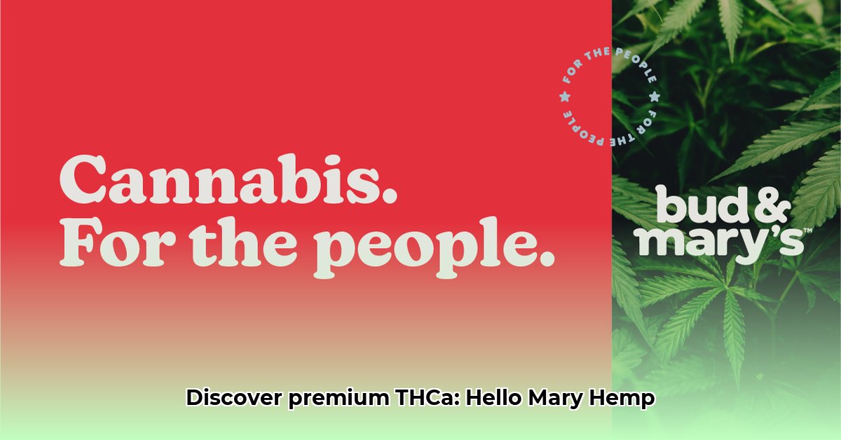 hello-mary-hemp-website